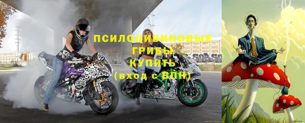 винт Березники